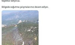 Antalya'daki orman yangını 22 saatte kontrol altına alındı (2)