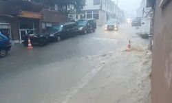 Artvin'de sağanak nedeniyle ulaşım aksadı (2)