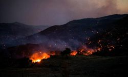 Atina yakınlarında orman yangını çıktı