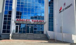 Av tüfeğiyle öldürülen 'Sütlaç' için savcılığa suç duyurusu