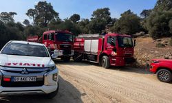 Aydın Çine'de orman yangını (2)