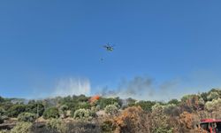 Aydın'da tarım arazisinde yangın