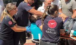 Aydın'daki cinayetin 3 şüphelisi polise teslim oldu