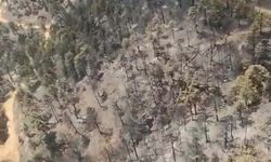 Aydın'daki orman yangını 2'nci gününde (2)