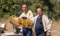 Babasının mide rahatsızlığının tedavisi için başladığı arıcılık, 51 yıldır mesleği oldu