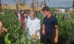 Bakan Göktaş açıkladı, şehit aileleri ve gazilere yönelik haklar genişliyor (2)