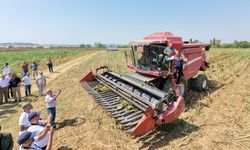 Bakan Yardımcısı Gizligider: 3 milyon 387 bin metrekareden fazla hayalet ağı su kaynaklarımızdan temizledik