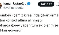Balıkesir Dursunbey'de orman yangını (2)