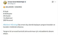 Balıkesir'de kamyondaki yangın ormana sıçradı (2)