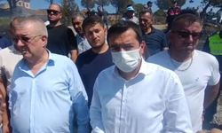 Balıkesir'de orman yangını (2)