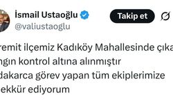 Balıkesir'de orman yangını (4)