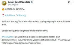 Balıkesir'deki orman yangını 2'nci gününde kontrol altına alındı (2)