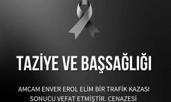 Bariyerlere çarpan otomobil, hurdaya döndü; sürücü öldü, eşi yaralandı (2)