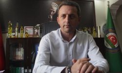 'Bayramiç beyazı'nda hasat başladı; 10 bin ton ürün bekleniyor