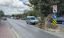 Beykoz'da motosiklet ağaca çarptı; sürücü yola savruldu