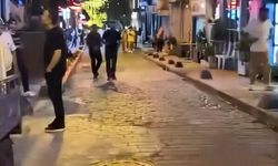 Beyoğlu'nda terriere saldıran pitbull cinsi köpeğin sahibinin bıçaklandığı kavga kamerada