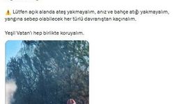 Bursa'da orman yangını (4)