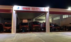 Bursa'da otomobilin motoruna giren yılan itfaiye ekipleri tarafından çıkarıldı