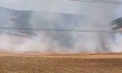 Bursa'da tarlayı ateşe verdiği öne sürülen şüpheli yakalandı