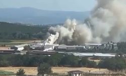 Bursa'da tavuk çiftliğinde yangın