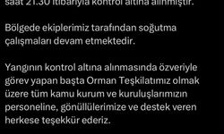 Çanakkale Orman yangını (4)
