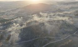 Çanakkale'de 2 ayda çıkan orman yangınlarında 541 hektar alan zarar gördü