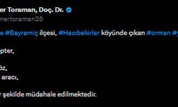 Çanakkale'de orman yangını (2)
