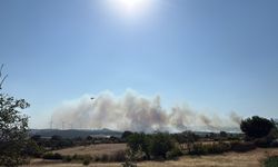 Çanakkale'de orman yangını (3)