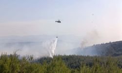 Çanakkale'de orman yangını / Ek fotoğraflar