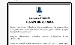 Çanakkale'de otluk alanda çıkan yangın ormana sıçradı (3)