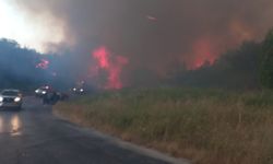 Çanakkale'de otlukta çıkan yangın ormana sıçradı