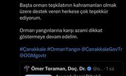 Çanakkale'de tarım arazisi ve merada yangın (2)