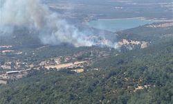 Çanakkale'de tarım arazisi ve merada yangın