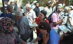 Çapak Bardacık inciri için 15'inci festival coşkusu