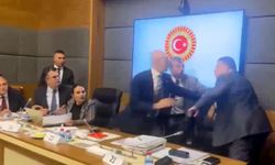 'Çerçeve yasa' teklifi komisyonda kabul edildi (2)