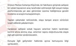 Ciple köpeğin üzerinden geçti; o anlar anlar kamerada (2)