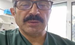 Çocuğun kulağından canlı kene çıkarıldı