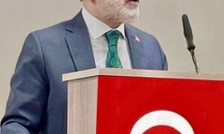 Cumhurbaşkanı Başdanışmanı Topçu'dan İsrail'e tepki
