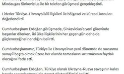Cumhurbaşkanı Erdoğan, Litvanya Başbakanı Sinkevicius ile görüştü