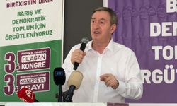DEM Parti'li Bakırhan: Bunlar, tarihi günlerdir