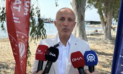 Deniz çayırları rehabilitasyon projesinde yüzde 90 başarı