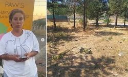 Dernek başkanı hayvansever Mutlu'nun öldürülmesiyle ilgili ağabeyi ve 4 kişi tutuklandı