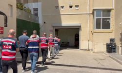 Diyarbakır'da 247 bin kök kenevir ele geçirildi; 17 gözaltı