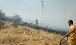 Diyarbakır'da örtü yangını (2)