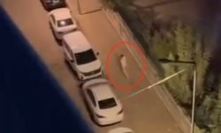 Diyarbakır'da yumruklu kavga kamerada