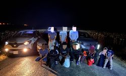 Edirne'de 7 kaçak göçmen yakalandı, 3 organizatör şüphelisi tutuklandı