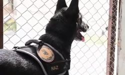Emekli olan narkotik köpeği Naz'a duygulandıran veda