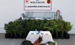 Evinde uyuşturucuyla yakalanan şüpheliye gözaltı