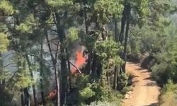 Fethiye'de çıkan orman yangını söndürüldü