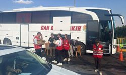 Filistin Konvoyu, Irak'ın İbrahim Halil Sınır Kapısı'nda bekletiliyor (2)